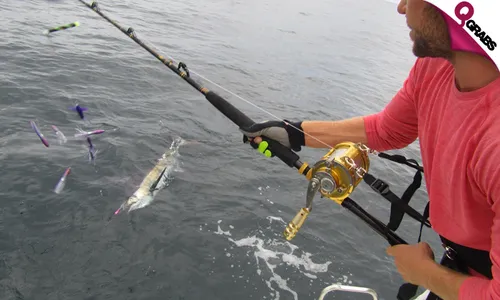 Speed Boat Fishing with Fishing & Safety Equipments!